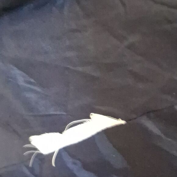 LOFT Navy Blazer with Single Button Size 8 - Picture 10 of 10